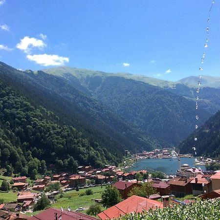 Kuzey Palace Uzungöl Exterior photo